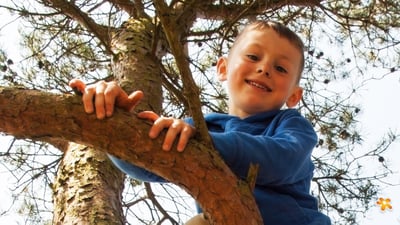 The Seven Benefits of Outdoor Play