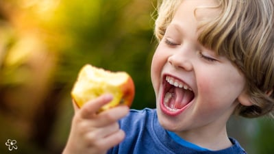 6 Nutrition Myths Debunked to Help You Feed Your Family Right